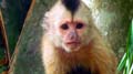 Caracas Zoologico 045